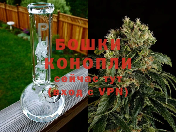 спайс Баксан