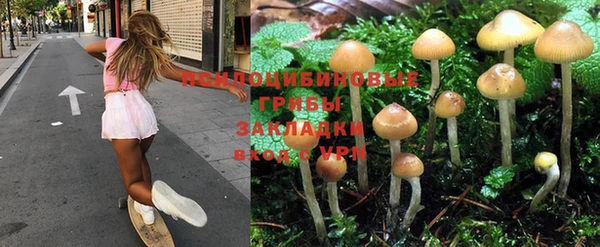 МДПВ Кирсанов