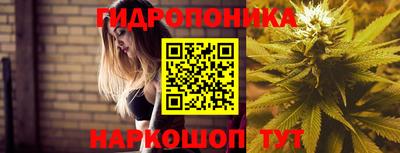 гашиш Берёзовский
