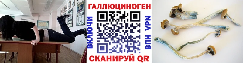 Галлюциногенные грибы GOLDEN TEACHER  ОМГ ОМГ как войти  Гудермес 