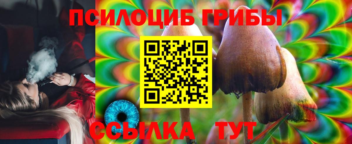 Галлюциногенные грибы ЛСД Гудермес