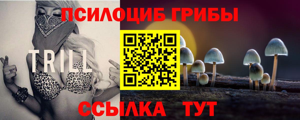Псилоцибиновые грибы GOLDEN TEACHER Гудермес