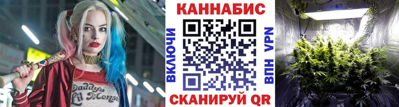 маркетплейс как зайти  Гудермес  Шишки марихуана SATIVA & INDICA  где можно купить наркотик 