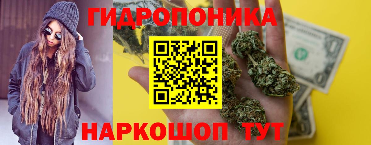 Гудермес  Конопля конопля  Каннабис OG Kush  Канабис конопля  Вход с VPN 